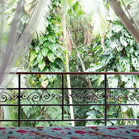 Hotel Estalagem Camburi Camburi  Exteriér fotografie